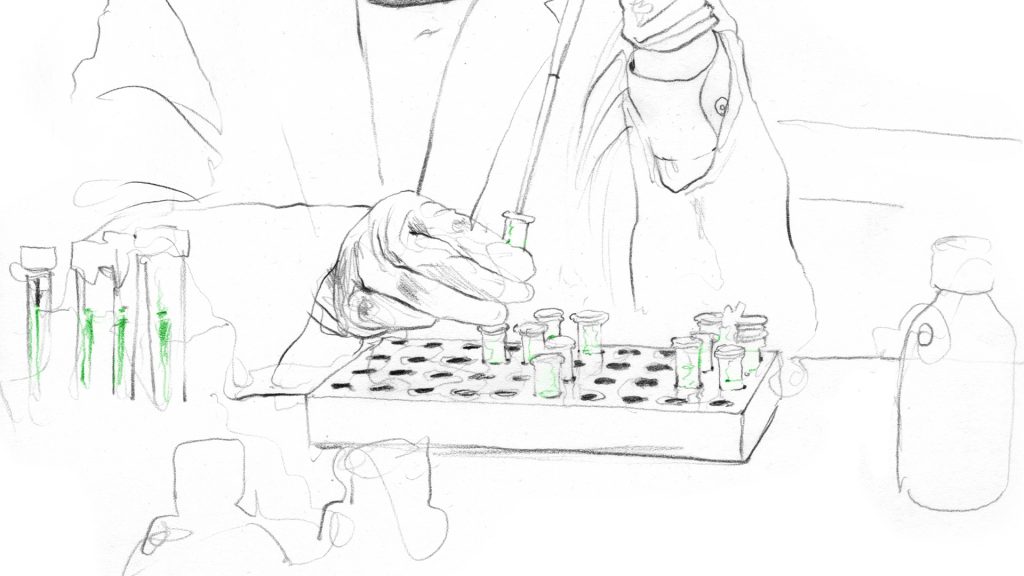How to grow mammalian cell culture - Evitria