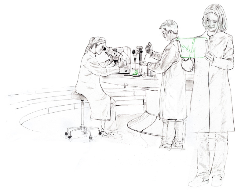 In vivo antibodies – key facts and considerations