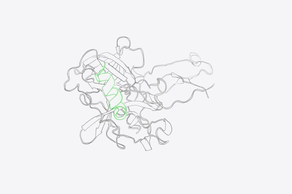 Fusion Antibodies and Other Recombinant Proteins by evitria