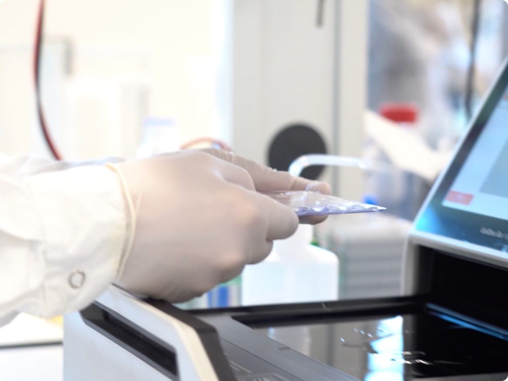 Recombinant antibodies for drug development