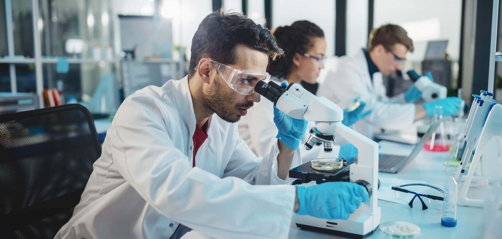 Antibody Production for Academic Research